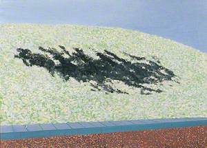 1971–40, Burnt Patch on Railway Embankment